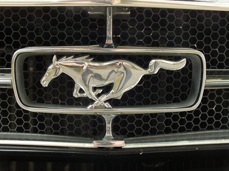 Forda Mustanga zaprojektowano dla ludzi młodych, miał ziszczać sen o wolności i sile. W USA na początku lat sześćdziesiątych XX wieku  te dwie wartości uosabiał dziki koń z prerii Ameryki Północnej.  